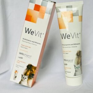 WEVIT GEL 100ML